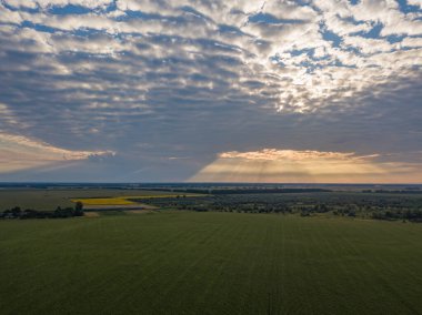 Hava görüntüsü. Ukrayna tarım arazileri üzerinde gün batımı.
