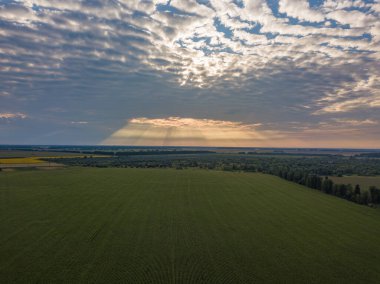 Hava görüntüsü. Ukrayna tarım arazileri üzerinde gün batımı.