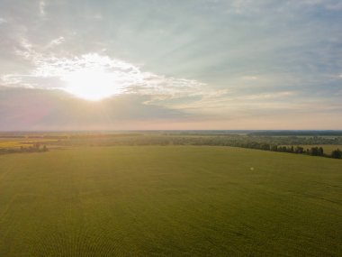 Hava görüntüsü. Ukrayna tarım arazileri üzerinde gün batımı.