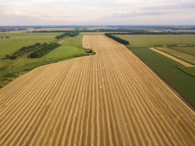 Hava aracı görüntüsü. Toplanan Ukrayna buğday tarlası.