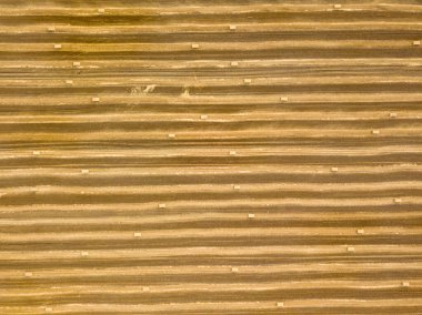 Hava aracı görüntüsü. Toplanan Ukrayna buğday tarlası.