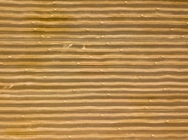 Hava aracı görüntüsü. Toplanan Ukrayna buğday tarlası.