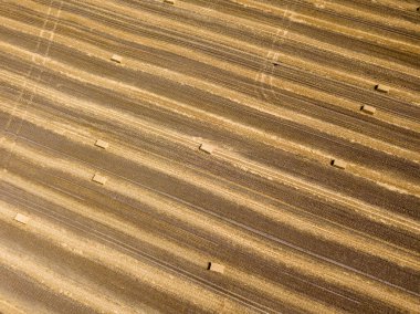 Hava aracı görüntüsü. Toplanan Ukrayna buğday tarlası.
