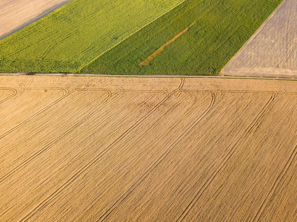 Украинское Пшеничное Поле Воздушный Беспилотник — стоковое фото
