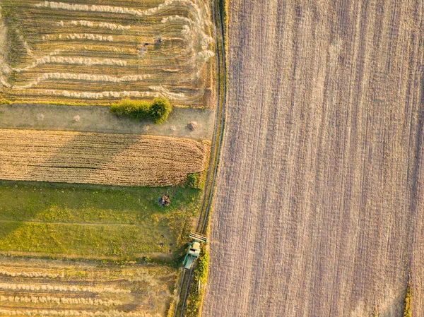 空中ドローンビュー 収穫されたウクライナのコムギ畑 — ストック写真