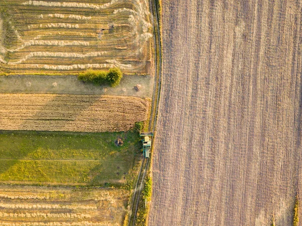 Aerial Drone View Harvested Ukrainian Wheat Field — Stock Photo, Image