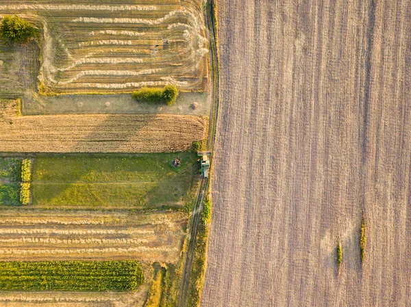 空中ドローンビュー 収穫されたウクライナのコムギ畑 — ストック写真