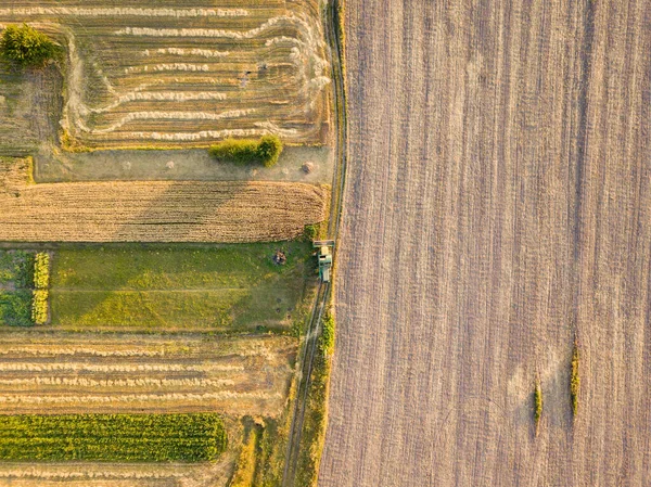 Aerial Drone View Harvested Ukrainian Wheat Field — Stock Photo, Image