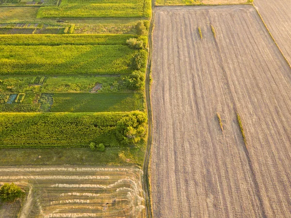 Flygdrönare Skördat Ukrainskt Vetefält — Stockfoto