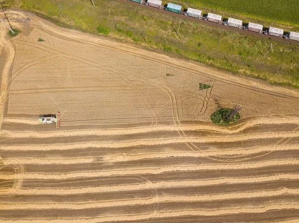 Veduta Aerea Del Drone Raccolto Campo Grano Ucraino — Foto Stock