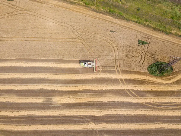 Luchtdrone Zicht Geoogst Oekraïens Tarweveld — Stockfoto