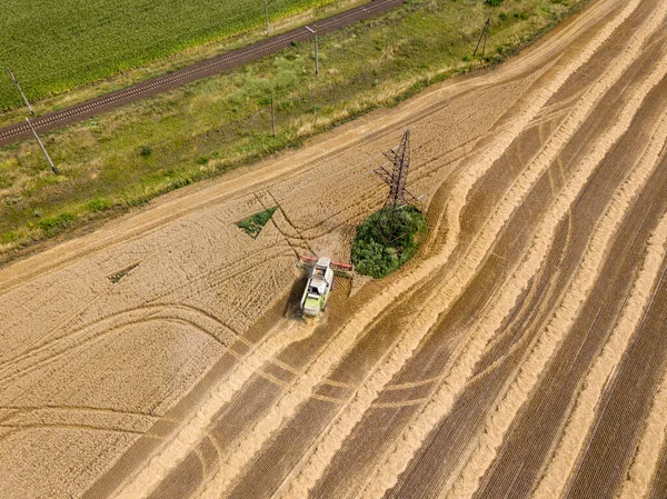 Vista Aérea Drones Campo Trigo Ucraniano Colhido — Fotografia de Stock