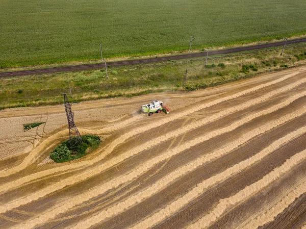 Veduta Aerea Del Drone Raccolto Campo Grano Ucraino — Foto Stock