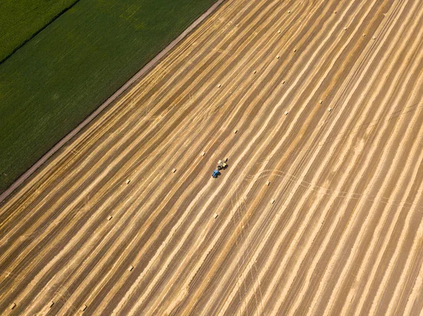 Veduta Aerea Del Drone Raccolto Campo Grano Ucraino — Foto Stock