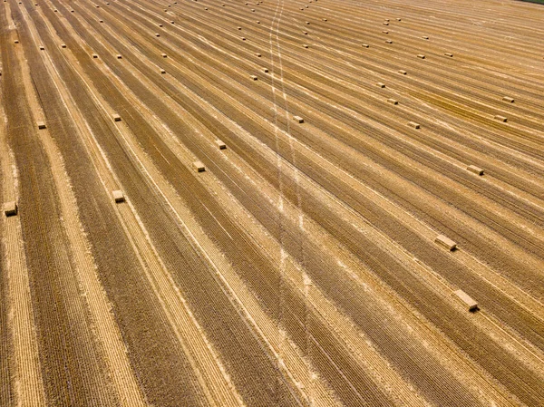 Aerial Drone View Harvested Ukrainian Wheat Field — Stock Photo, Image