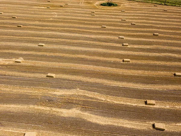 Luchtdrone Zicht Geoogst Oekraïens Tarweveld — Stockfoto