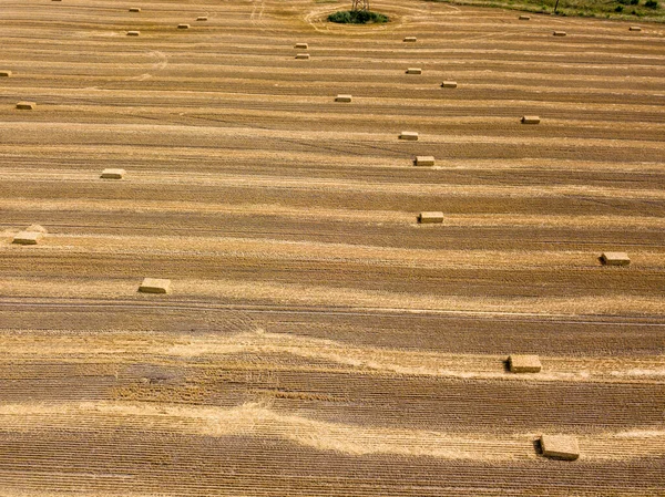 Luchtdrone Zicht Geoogst Oekraïens Tarweveld — Stockfoto