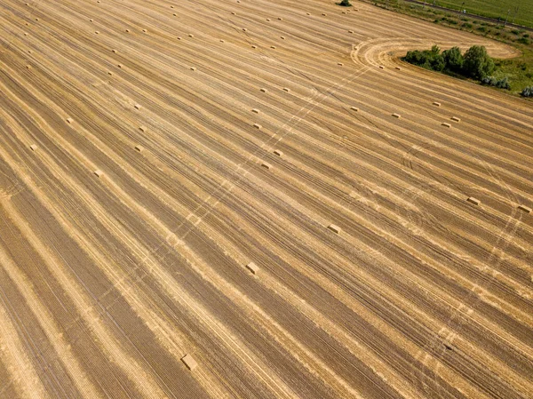 Aerial Drone View Harvested Ukrainian Wheat Field — Stock Photo, Image