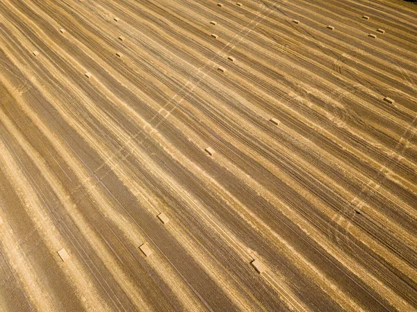 Aerial Drone View Harvested Ukrainian Wheat Field — Stock Photo, Image