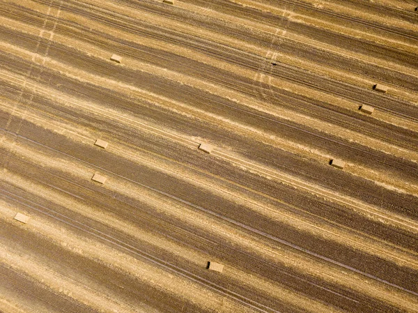 Hava aracı görüntüsü. Toplanan Ukrayna buğday tarlası.