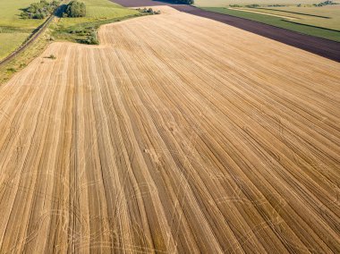 Hava aracı görüntüsü. Toplanan Ukrayna buğday tarlası.