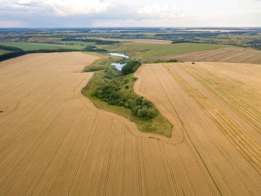 Ukrayna buğday tarlası. Hava aracı görünümü.
