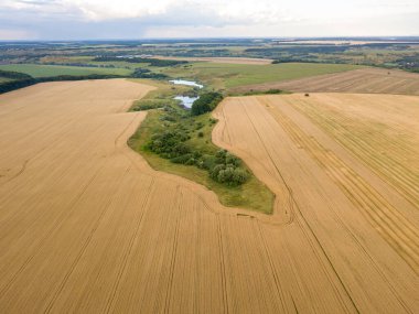 Ukrayna buğday tarlası. Hava aracı görünümü.