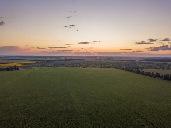 空中展望 ウクライナの農地に沈む夕日 — ストック写真