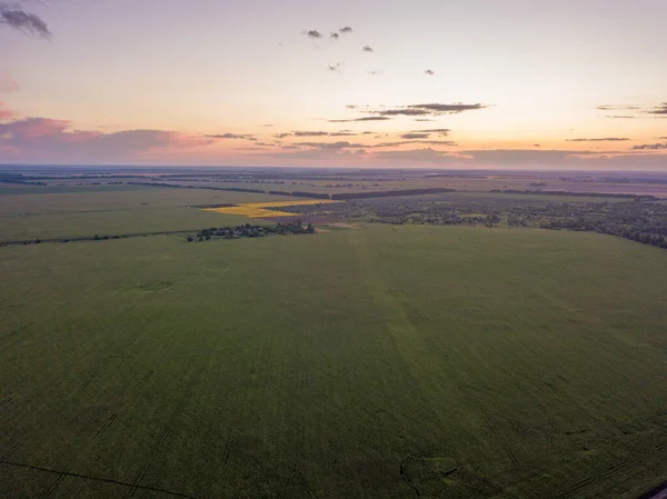 Aerial View Sunset Ukrainian Agricultural Fields — Stock Photo, Image