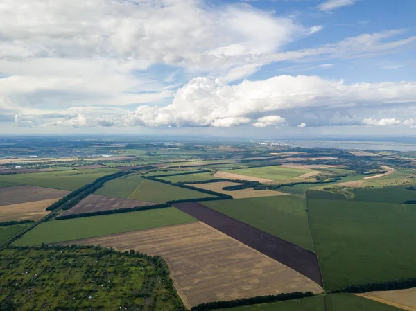 Vue Aérienne Par Drone Des Champs Agricoles Ukrainiens — Photo