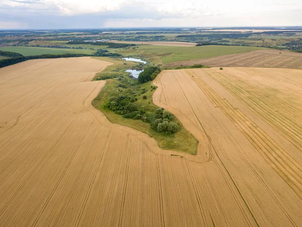 Ukrayna buğday tarlası. Hava aracı görünümü.