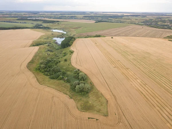 Ukrayna buğday tarlası. Hava aracı görünümü.
