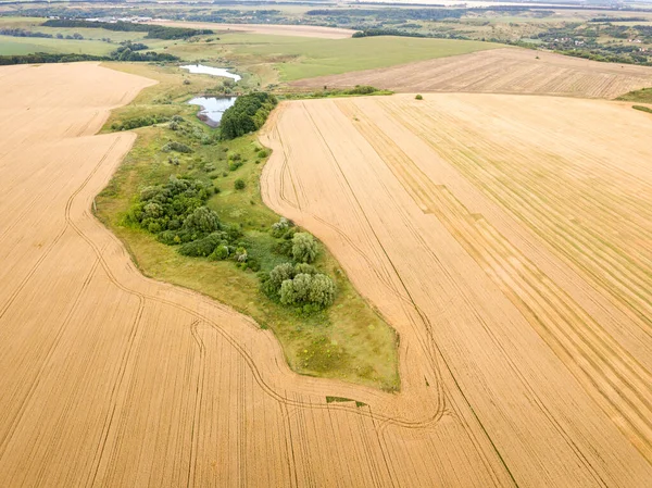 Ukrayna buğday tarlası. Hava aracı görünümü.
