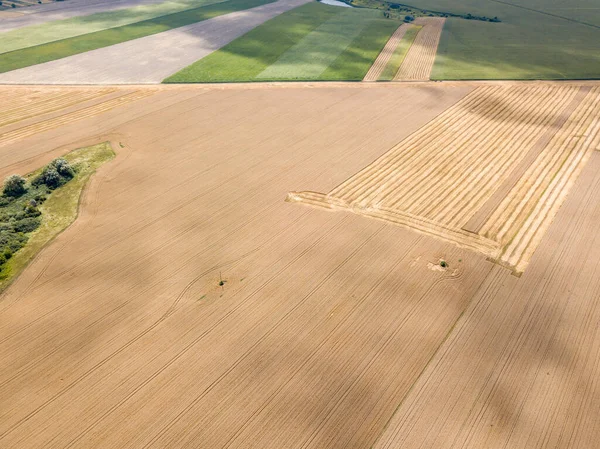 Campo Trigo Ucraniano Vista Aérea Drones — Fotografia de Stock