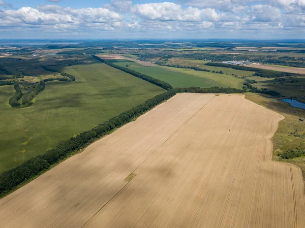 Ukrayna tarım sahalarının hava aracı görüntüsü.