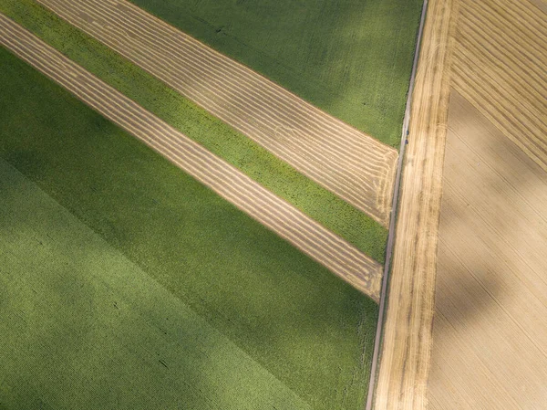 Ukrayna tarım sahalarının hava aracı görüntüsü.