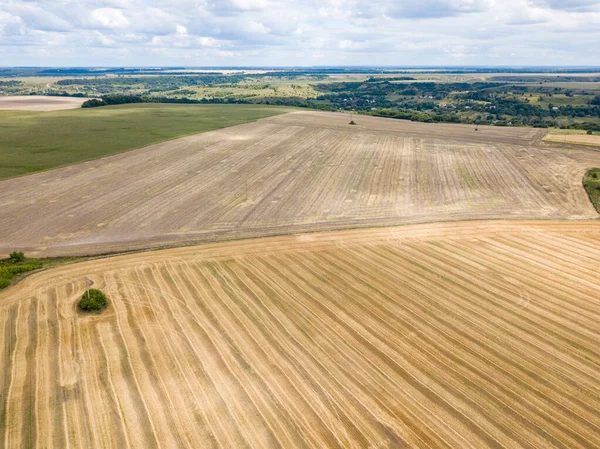 Ukrainian Wheat Field Aerial Drone View — Stock Photo, Image