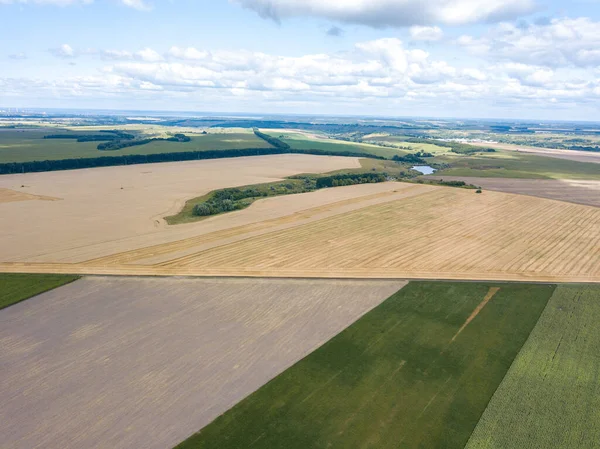 Ukrayna buğday tarlası. Hava aracı görünümü.