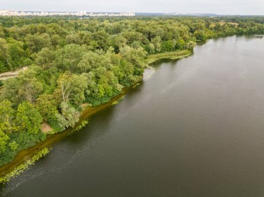 Hava görüntüsü. Dinyeper nehrinin yeşil kıyısı Bir yaz gününde.
