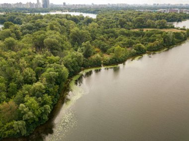Hava görüntüsü. Dinyeper nehrinin yeşil kıyısı Bir yaz gününde.
