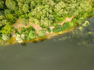 Hava görüntüsü. Dinyeper nehrinin yeşil kıyısı Bir yaz gününde.