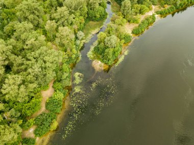 Hava görüntüsü. Dinyeper nehrinin yeşil kıyısı Bir yaz gününde.