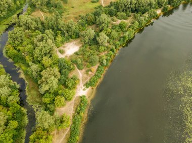 Hava görüntüsü. Dinyeper nehrinin yeşil kıyısı Bir yaz gününde.