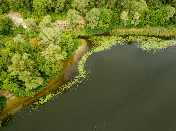 Vista Aérea Orilla Verde Del Río Dniéper Día Verano —  Fotos de Stock
