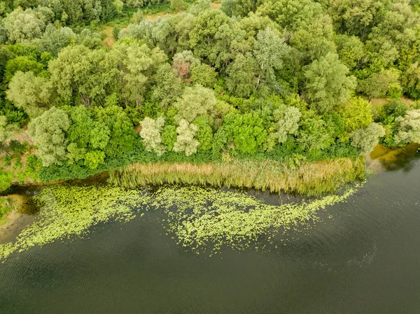 Letecký Pohled Zelený Břeh Řeky Dněpru Letní Den — Stock fotografie