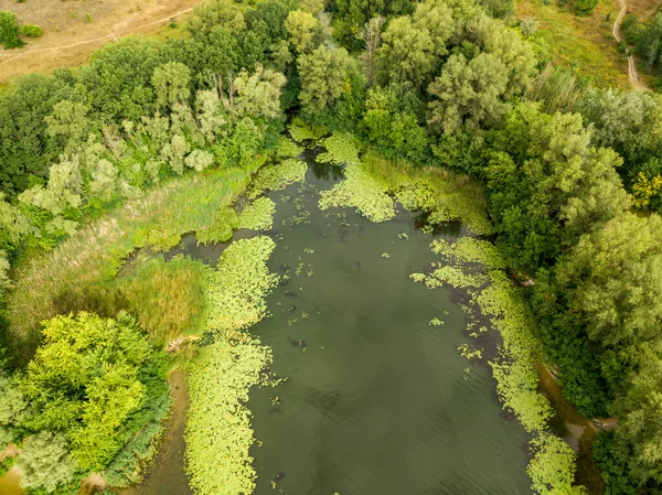 Vista Aérea Orilla Verde Del Río Dniéper Día Verano —  Fotos de Stock