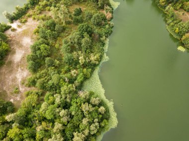 Hava görüntüsü. Dinyeper nehrinin yeşil kıyısı Bir yaz gününde.