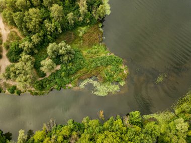 Hava görüntüsü. Dinyeper nehrinin yeşil kıyısı Bir yaz gününde.