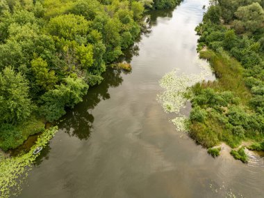 Hava görüntüsü. Dinyeper nehrinin yeşil kıyısı Bir yaz gününde.