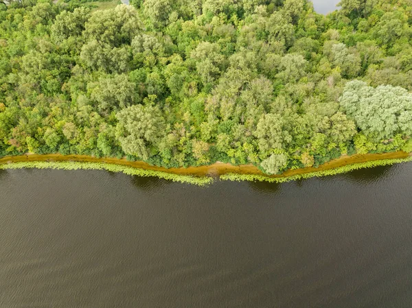 Hava görüntüsü. Dinyeper nehrinin yeşil kıyısı Bir yaz gününde.